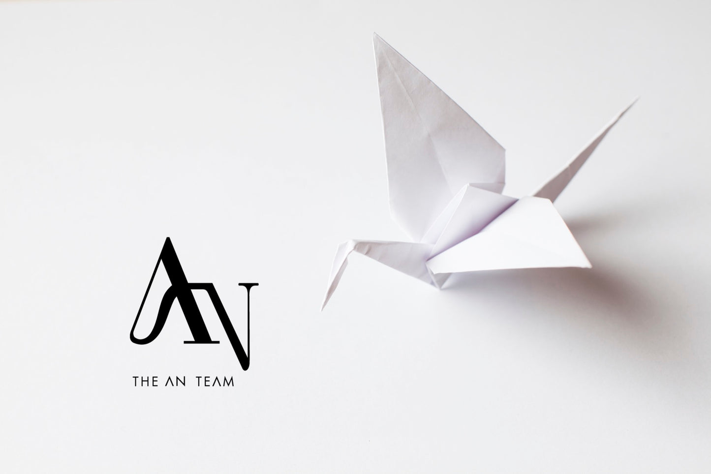 The-AN-Team kilpailupassi 2025