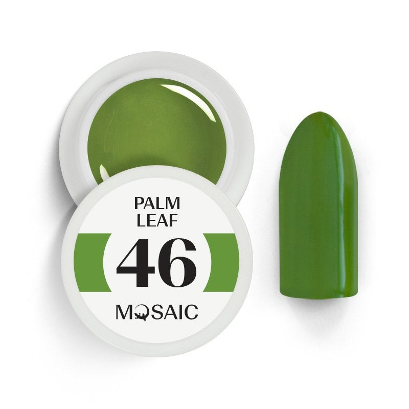 46 Palm leaf 5 ml