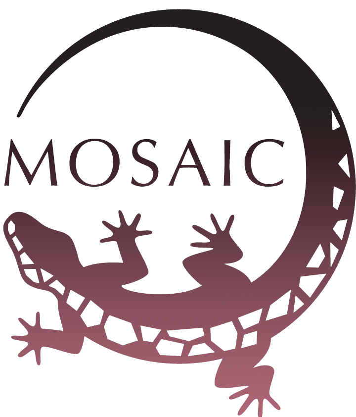 Mosaic 3D logo, seinäkoriste.