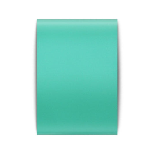 Pigment foil Mint matte