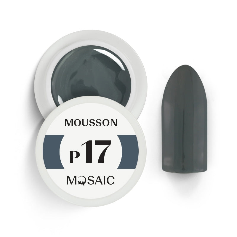 P17 Mousson 5 ml